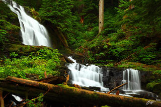 C155 Twenty-Two Creek Falls, Lake Twenty-Two Trail, Washington 
