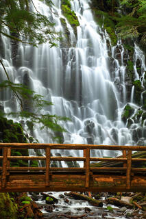 C171 Ramona Falls, Mt Hood National Forest, Oregon