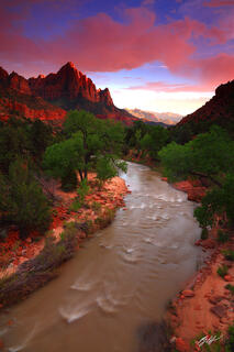 D139 Sunset and the Watchman, Zion National Park, Utah
