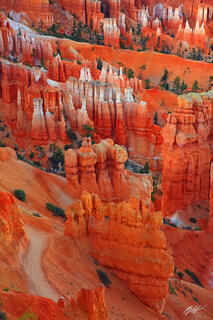 D142 Hoodoos from Inspiration Point, Bryce Canyon, Utah