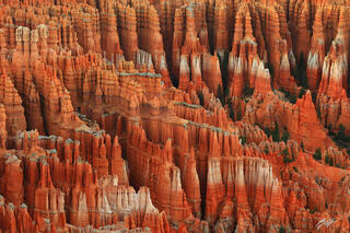D152 Hoodoos from Inspiration Point, Bryce Canyon, Utah