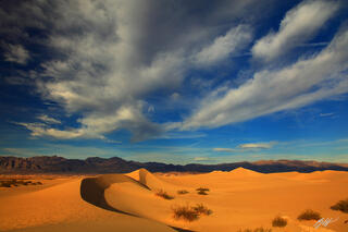 D216 Mesquite Sand Dunes, Death Valley National Park, California 