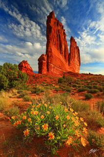 D238 Courthouse Towers, Arches National Park, Utah