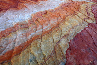 D281 Colorful Sandstone Swirl, Valley of Fire, Nevada
