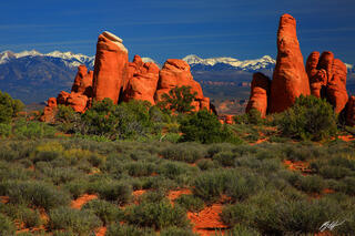 Fins and La Sal Mountains, Arches National Park, Utah