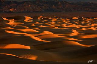 First Light, Mesquite Sand Dunes, Death Valley, California