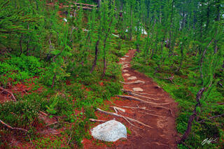F024 Enchanted Trail, Enchantments, Washington 