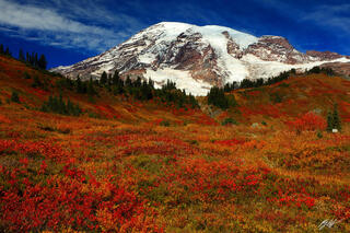 F120 Fall Color and Mt Rainier, Mt Rainier National Park in Washington 
