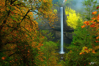 F121 Latourell Falls, Columbia River Gorge, Oregon 