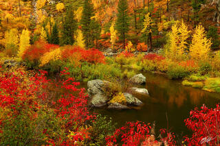 F138 Fall Color, Tumwater Canyon, Washington 