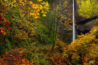 F156 Latourell Falls, Columbia River Gorge, Oregon