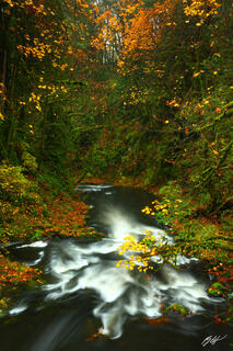 F179 Cedar Creek in Fall, Woodland, Washington 
