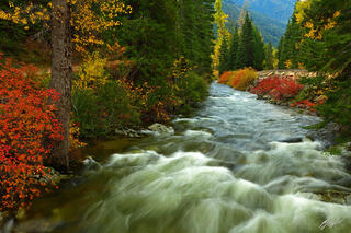 F193 Fall Color and Nason Creek, Washington 