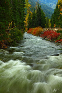 D194 Fall Color and Nason Creek, Washington 