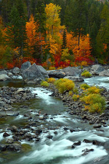 F198 Fall Color and the Wentchee River, Tumwater Canyon, Washington 