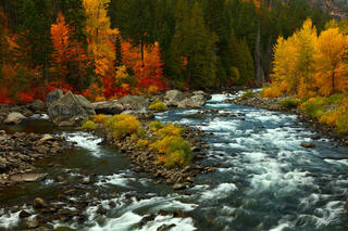 F199 Fall Color and the Wentchee River, Tumwater Canyon, Washington 
