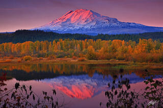 F216 Sunrise Mt Adams Reflected in Trout Lake, Washington