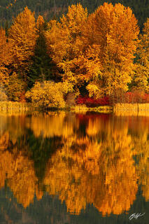 F238 Fall Reflected in Easton Ponds, Washington