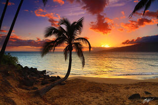 H001 Sunset and Palm Tree, Kihei Maui