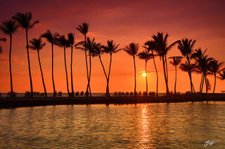 H013 Sunset and Palm Trees, Big Island, Hawaii