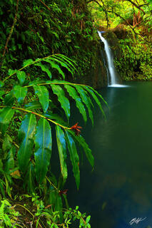 H050 Secret Waterfall, Maui, Hawaii