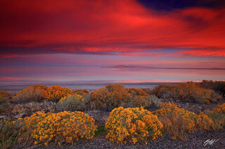 M198 Sunrise Over the Great Salt Lake, Antelope Island, Utah