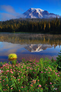 M191 Mt Rainier Reflected in Reflection Lakes, Washington