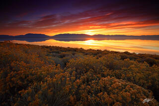M199 Sunrise Over the Great Salt Lake, Antelope Island, Utah