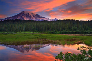 M321 Sunrise Mt Rainier Reflected in Reflection Lake, Washington 