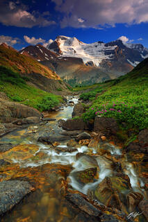 M334 Creek and Mt Athabasca, Japer National Park, Canada