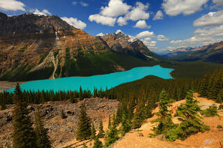 M336 Peyto Lake in the Canadian Rockies, Canada