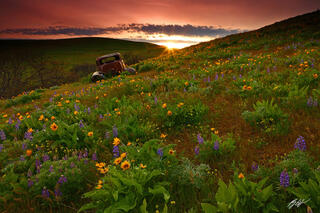 Columbia Hills Wildflower Adventure April 21-24, 2025