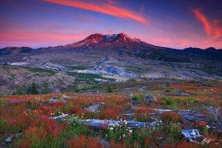 M412 Sunset Wildflowers and Mt St Helens, Washington