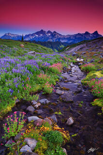 M119 Sunset Wildflowers and the Tatoosh Range, Washington
