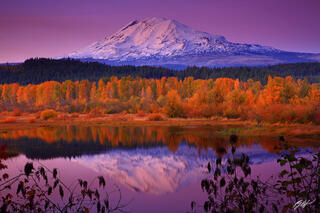 P136 Mt Adams Reflected in Trout Lake, Washington