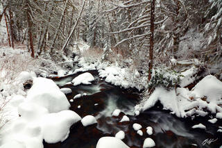 W134 Winter Scene along the Wallace River, Washington 
