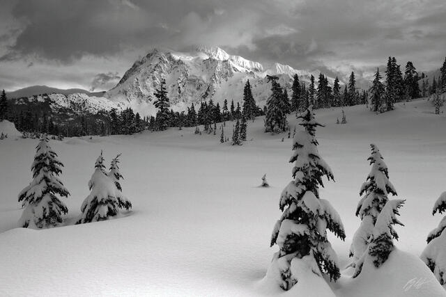B049 Winter Scene and Mt Shuksan, Heather Meadows, Washington print