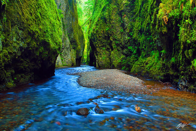 C105 Oneonta Gorge, Columbia River Gorge, Oregon print