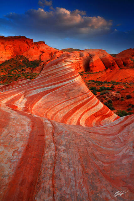 D102 Fire Wave, Valley of Fire, Nevada print