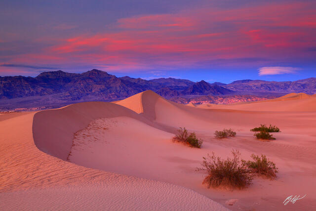 D103 Sunset Mesquite Sand Dunes, Death Valley, California print
