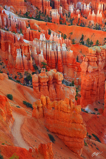 D142 Hoodoos from Inspiration Point, Bryce Canyon, Utah print