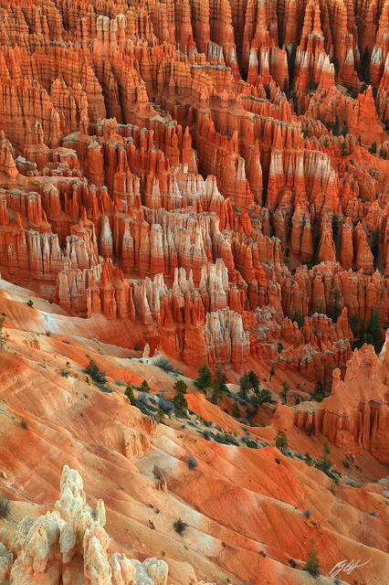 D151 Hoodoos from Inspiration Point, Bryce Canyon, Utah print