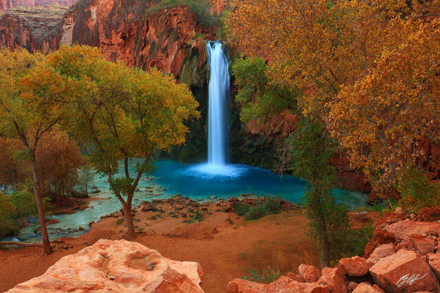 D160 Havasu Falls, Havasu Canyon, Arizona print