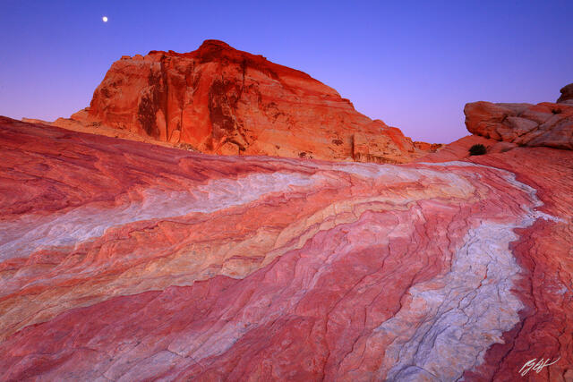 D180 Sandstone Swirl, Valley of Fire, Nevada print