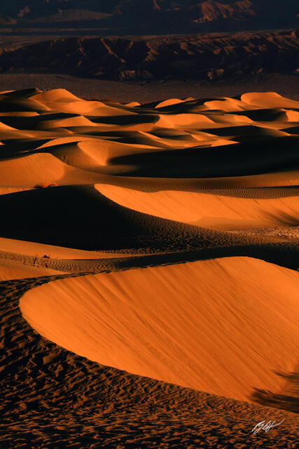 D271 First light on Mesquite Sand Dunes, Death Valley, California print