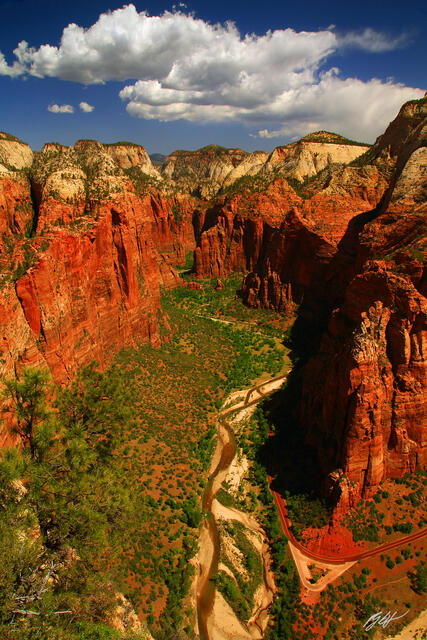 D391 Zion Canyon Viewed from Angels Landing, Zion National Park, Utah print
