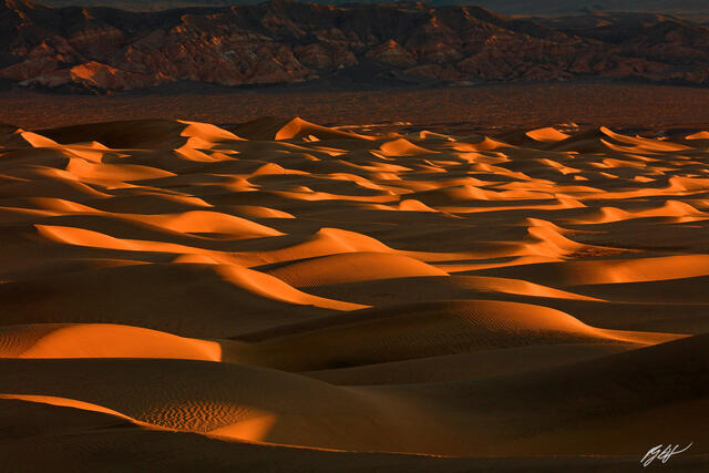 D381 First Light, Mesquite Sand Dunes, Death Valley, California print