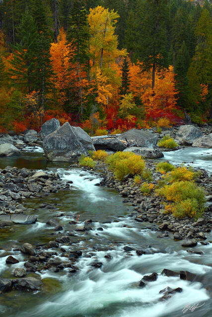 F198 Fall Color and the Wentchee River, Tumwater Canyon, Washington  print