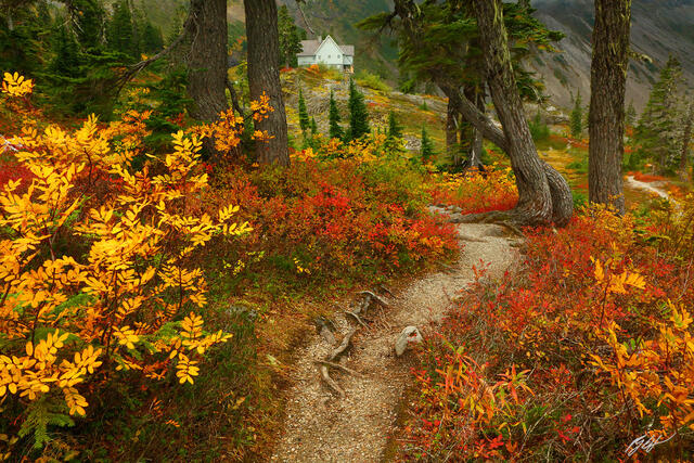 F293 Fall Color and Heather Meadows Visitor Center, Washington print