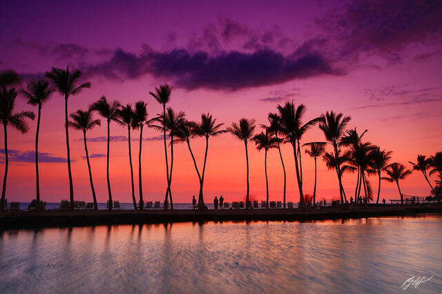 H016 Sunset and Palm Trees, Big Island, Hawaii print
